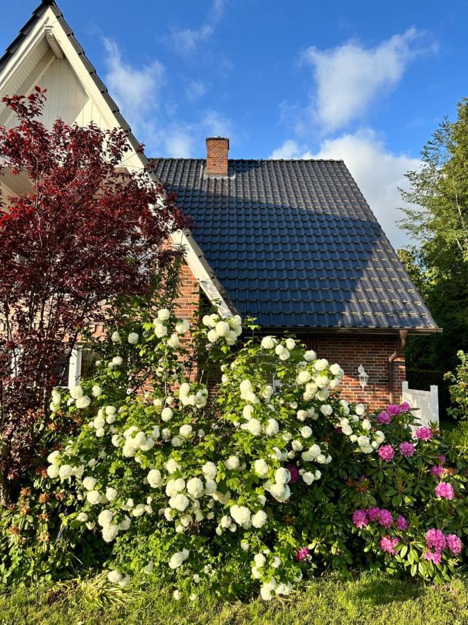 Louf Lejlighed Wiesmoor Eksteriør billede